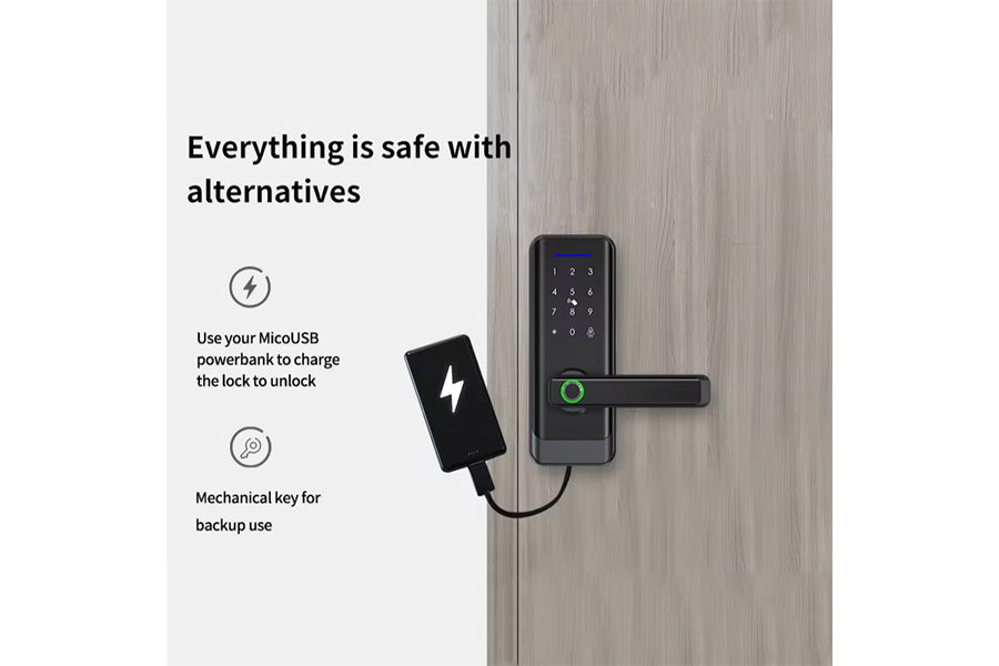LUX A233 Lever Handle Bluetooth Smart Lock Automatic Deadbolt Hardware (Rechargeable Battery)