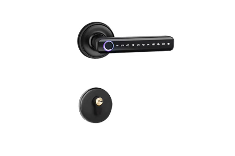 LUX H168 Lever Handle Bluetooth Smart Lock Automatic Deadbolt Hardware (Rechargeable Battery)