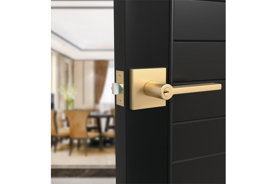 Mega Handles Prime Collection Entry Lever Handle