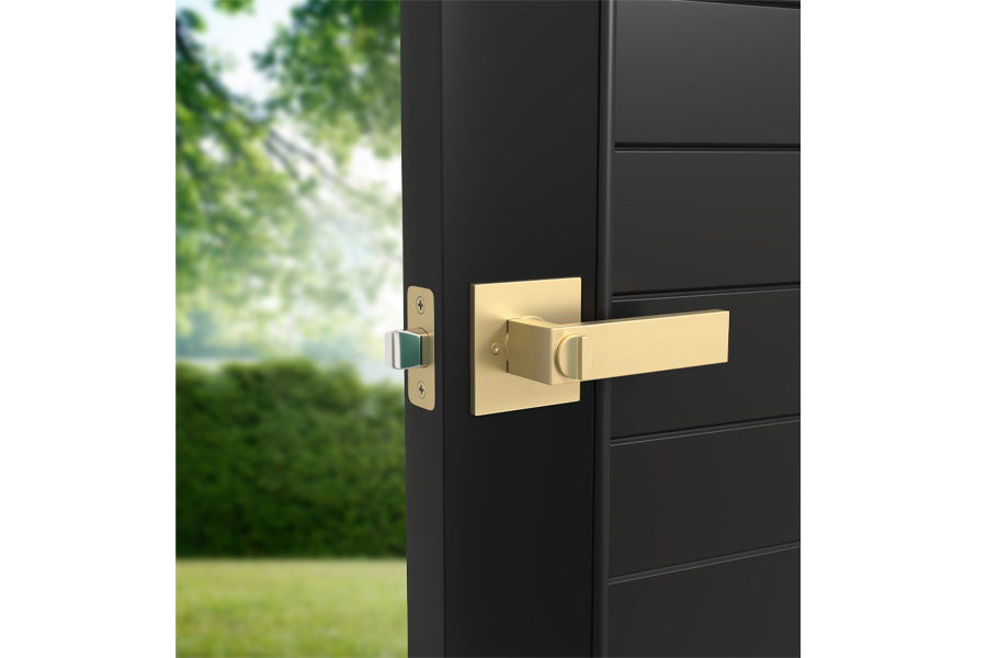 Mega Handles Rodell Collection Entry Lever Handle