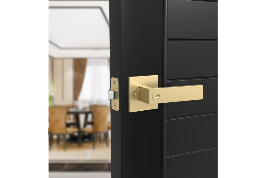 Mega Handles Rodell Collection Entry Lever Handle