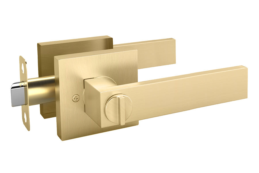 Mega Handles Rodell Collection Entry Lever Handle
