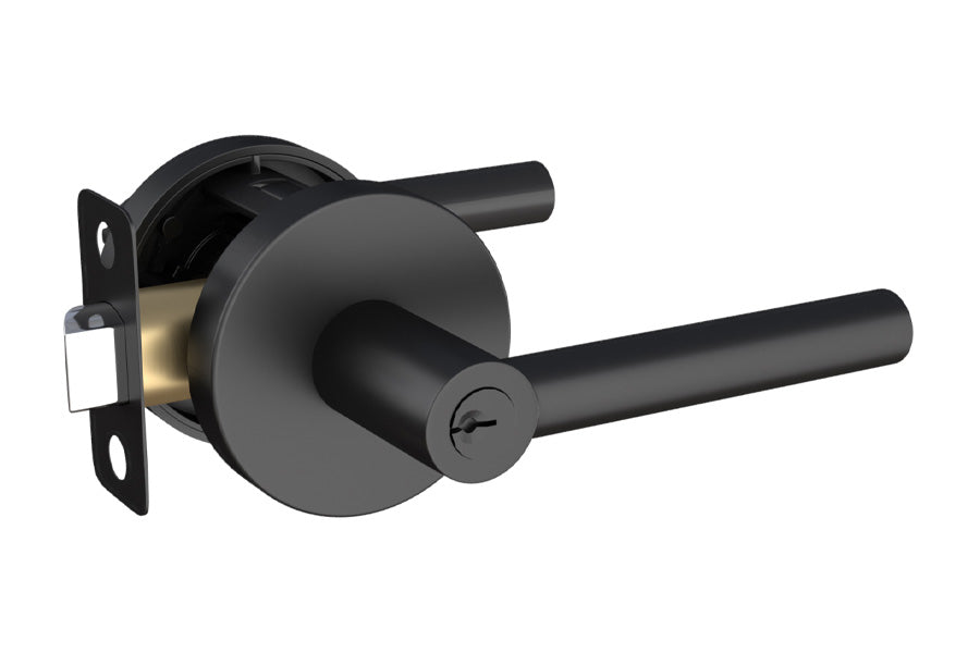 Mega Handles Ronn Collection Entry Lever Handle