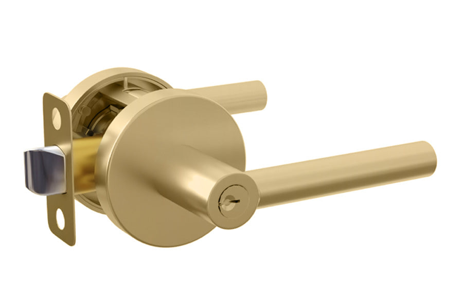 Mega Handles Ronn Collection Entry Lever Handle