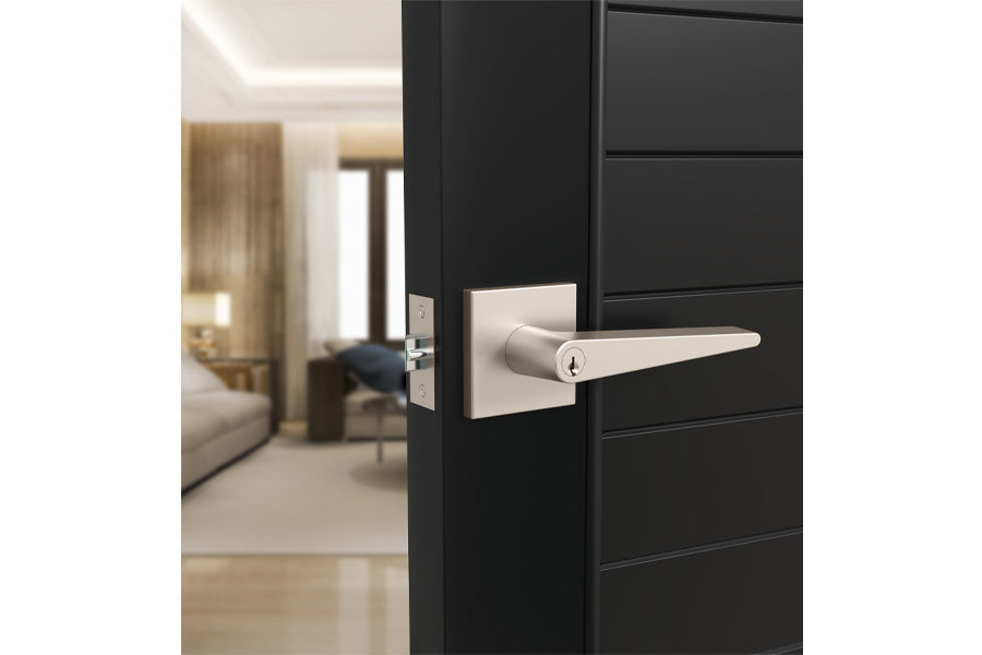 Mega Handles Schein Collection Entry Lever Handle