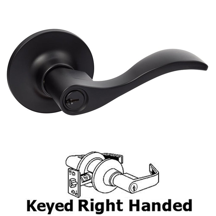 Sure-Loc Door Hardware Snowbird Lever